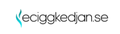 Eciggkedjan Skandinavian AB logo - transportoptimering kunde